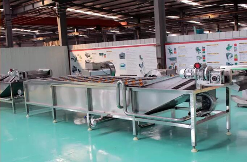 Fruit And Vegetable Washing Equipment