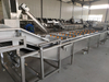 Fruit And Vegetable Washing Equipment